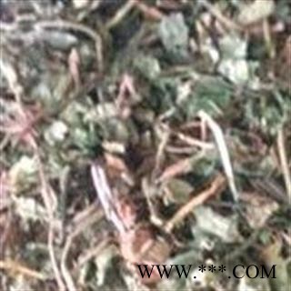 金钱草 好统货 小叶金钱草 产地 广西壮族自治区图2