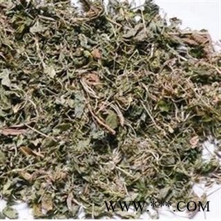 紫花地丁 紫花地丁 紫花地丁统段 薄利多销 产地 陕西省图2