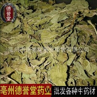 薄荷叶 选 薄荷叶 产地 安徽省 本店批发各种中药材图2