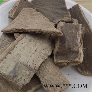 鸭脚木皮 西加皮 鸭脚木 鸭脚罗伞 九节图2