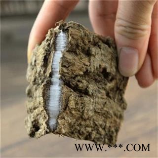 【买10送1】杜仲皮 秦岭山区优质杜仲山民自剥 手工裁切 药效纯正500g【打折已结束】图2