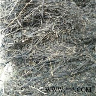 红泽兰 统货 产地 四川省成都市双流县图3