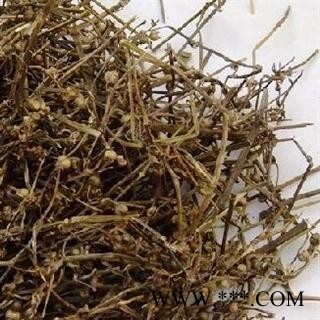 德誉堂药业白花蛇舌草 选白花蛇舌草 产地 江西图2