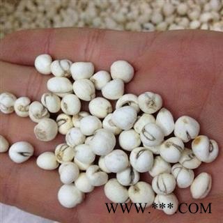 川贝母 正品川贝母 正品保证质量7天无理由退货退款 中药材批发 丽丽药业图4