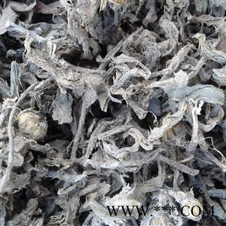 小蓟 统货 小蓟 产地 安徽省 本店批发各种中药 花茶 矿石图2