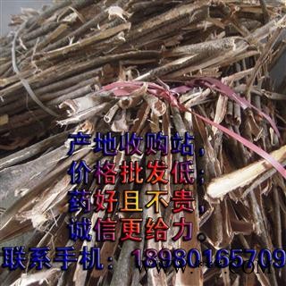 野生山合欢皮（夜号树皮），无硫统段图2