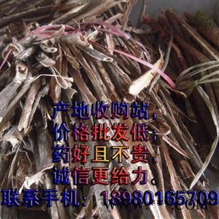 野生山合欢皮（夜号树皮），无硫统段图3