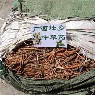 广西壮乡中草药 桑白皮 桑根白皮 桑根皮 桑皮 白桑皮 产地 广西柳州图2