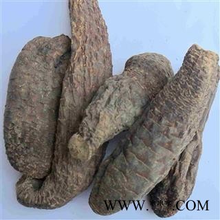 【录建药业】肉苁蓉 硬肉苁蓉个 产地 新疆维吾尔自治区图4