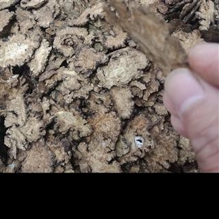 川芎片 统货无硫无添加正品保证质量15天无理由退货退款图4