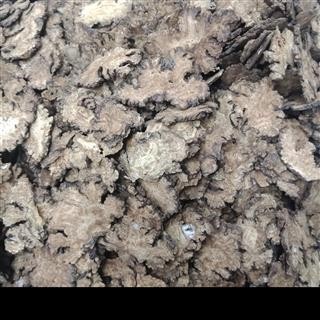 川芎片 统货无硫无添加正品保证质量15天无理由退货退款图2