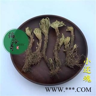 小还魂 小叶还魂草 小卷柏 小还魂 复活草 统 产地 广西壮族自治区玉林市图3