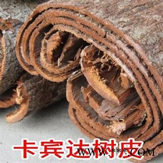 卡宾达树皮 安哥拉卡宾达树皮图2