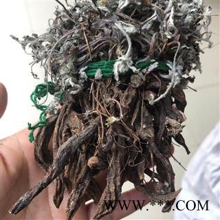 正品 翻白草 2021 选货 产地 四川省广元市剑阁县图3