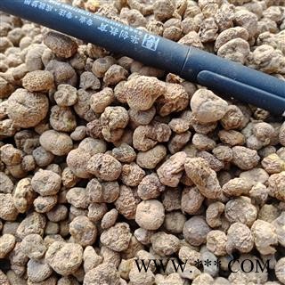 延胡索 元胡正品保证实图拍照 中药材批发 丽丽药业图2