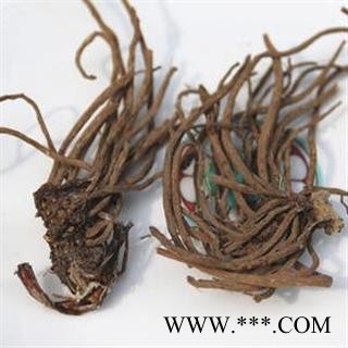 大火草根 白地紫苑 野棉花 打火草 大头翁 华安堂图3