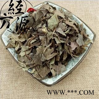 矮地茶C地茶 紫金牛 平地木 老勿大不出林 统 产地 湖南省
