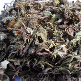 【录建药业】蒲公英 切碎新货 产地 山东省菏泽市鄄城县舜王城药市图2