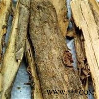 圣草康园鸭脚木皮  西加皮 鸭脚皮 鹅掌柴皮图1