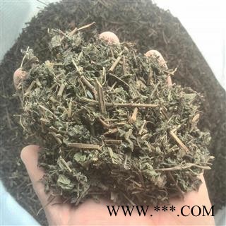 绞股蓝 药用绞股蓝统货 产地 安徽省 国药堂 专注品质图2