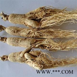 人参个带须人参个子小号正品保证质量7天无理由退货退款 中药材批发 丽丽药业图4