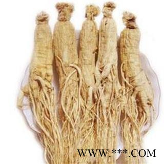 人参个子 带须人参个大好人参正品保证质量7天无理由退货退款 中药材批发 丽丽药业图4