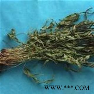 凤尾草 统 凤尾草  产地 湖北省 德誉堂药业批发各种中药材图2