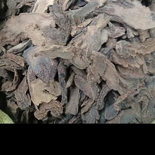 丽丽药业 人参保鲜参大号保鲜参中药材批发 滋补保证实图拍照7天无理由退货退款图4