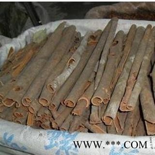 肉桂 统图2