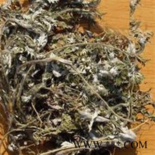 【录建药业】新货翻白草1000克 产地直销 重在品质 过筛无杂质   规格齐全 批发零售抓方打粉图4