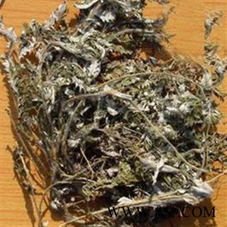 【录建药业】新货翻白草1000克 产地直销 重在品质 过筛无杂质   规格齐全 批发零售抓方打粉图3