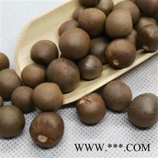 茶树子 茶树籽 茶叶树子 正品保证质量7天无理由退货退款 华安堂图2