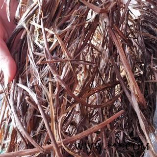 瑞森药材行鼠梓子 梓实 产地湖南图3