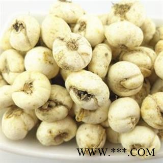 藏贝母 正品保证质量 价格联系客服 华安堂图4