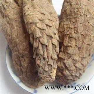 肉苁蓉 硬质大云 硬肉苁蓉 选个 产地 新疆维吾尔自治区图2