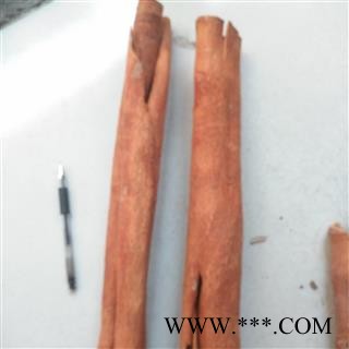 新辉药业肉桂 去皮肉桂图4