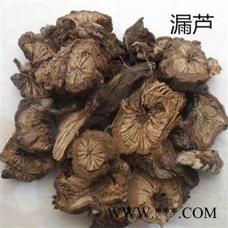 禹州漏芦 蓝刺头 正品保证质量7天无理由退货退款 华安堂图2