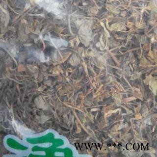 连钱草 冷背中药材 连钱草 德誉堂药业批发各种中药材图2