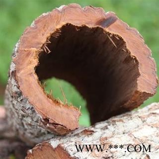 卡宾达树皮 非洲卡宾达 安哥拉 手工切块 日晒干净500g图3