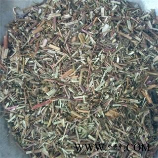 【录建药业】荆芥 统  产地 河北省图3