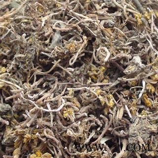 【录建药业】新货垂盆草1000克  重在品质 过筛无杂质  规格齐全 批发零售抓方打粉图3