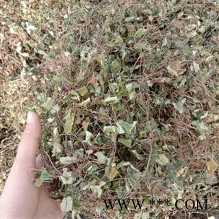 金钱草精品 统 产地 四川省成都市双流县图3