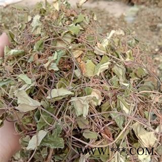 金钱草精品 统 产地 四川省成都市双流县图2