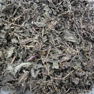 车前草 统 产地 山东省图2