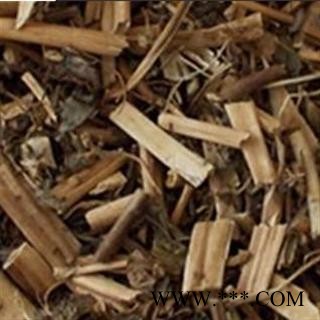 泽漆 统 产地 湖北省 德誉堂药业批发各种中药材图1