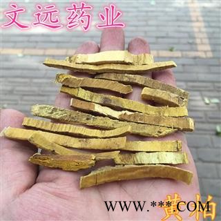 黄柏 选装刮皮 关黄柏 产地 辽宁省锦州市市辖区图3