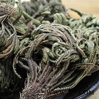 卷柏团状统货 九死还魂草 产地直销，批发各种规格中草药，花茶，矿石，动物，冷背药材等。 产地 云南省图2