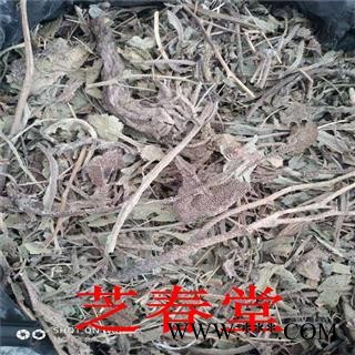 芝春堂 冷背药材 牛舌草 蝎子草 华丽景天 长药景天 另有 牛舌花图3