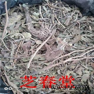 芝春堂 冷背药材 牛舌草 蝎子草 华丽景天 长药景天 另有 牛舌花图2