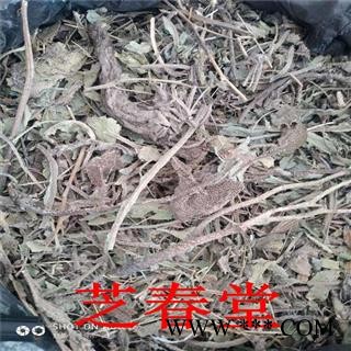 芝春堂 冷背药材 牛舌草 蝎子草 华丽景天 长药景天 另有 牛舌花图4